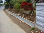 DSC02245.jpg