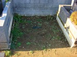 DSC02454.jpg